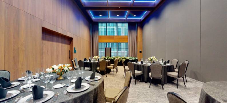 蒙特雷总统洲际酒店(InterContinental Hotels PRESIDENTE MONTERREY by IHG)图片