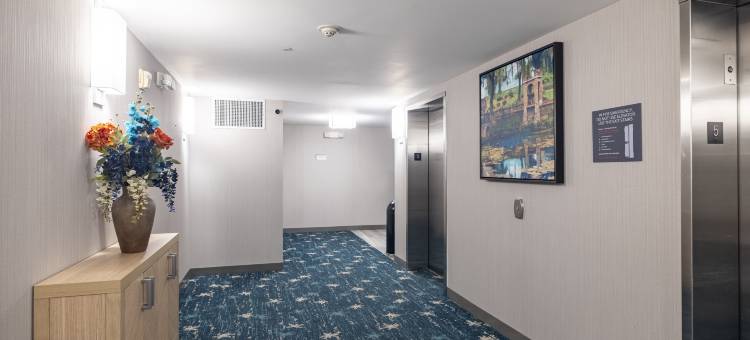 阿尔巴尼希尔顿花园酒店(Hilton Garden Inn Albany)图片