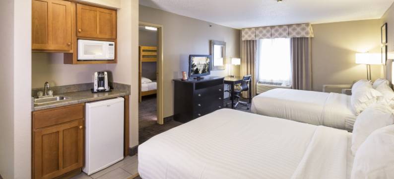 Holiday Inn Express & Suites ST。王永平(Holiday Inn Express & Suites ST. JOSEPH LAKEFRONT by IHG)图片