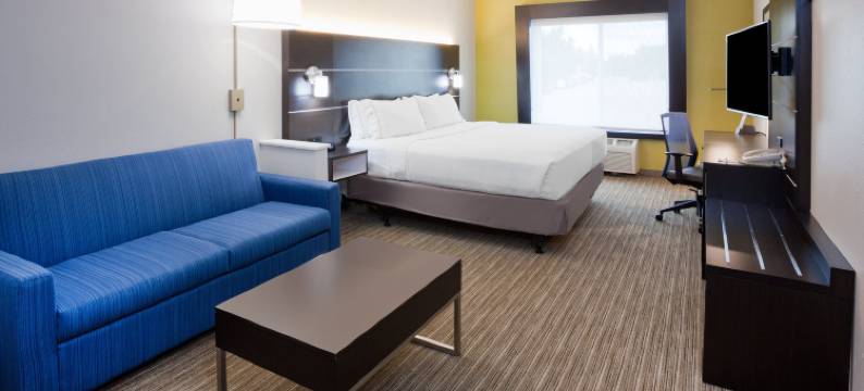 迪金森洲际智选假日套房酒店(Holiday Inn Express & Suites DICKINSON by IHG)图片