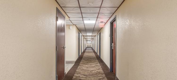 红顶酒店-芝加哥阿尔斯普(Red Roof Inn Chicago - Alsip)图片