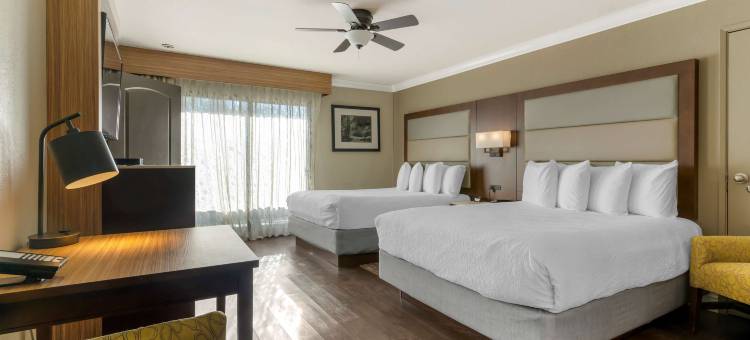 森林公园贝斯特韦斯特优质酒店(Best Western Plus Forest Park Inn)图片