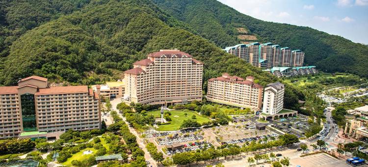 索诺宠物俱乐部度假村 维瓦尔第公园(Sono Pet Clubs & Resorts VivaldiPark)图片