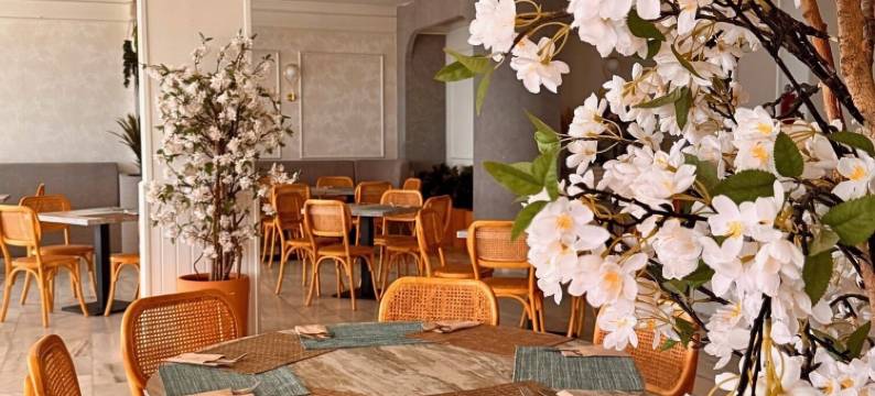 圣罗莎SR酒店(Hotel Santa Rosa)图片