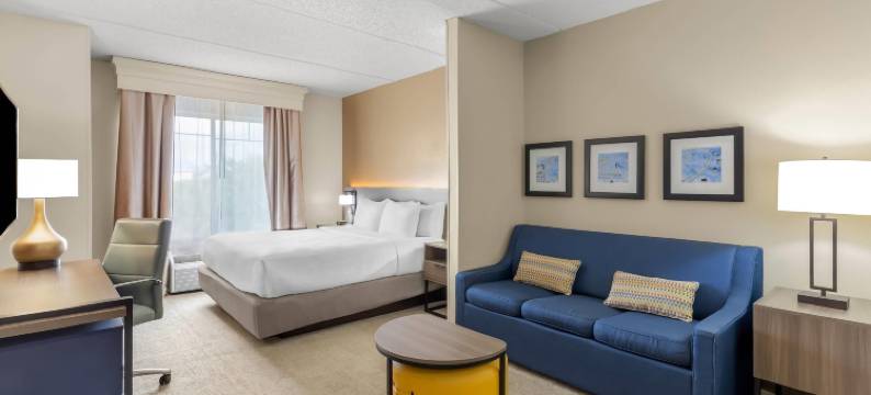 近奥兰多环球影城舒适套房酒店(Comfort Suites Near Universal Orlando Resort)图片
