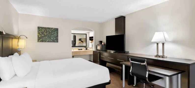 品质套房酒店(Quality Inn & Suites)图片