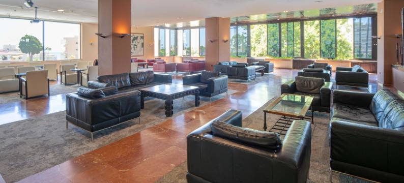 阿尔安达卢斯皇家酒店(Bluesea Al Andalus)图片