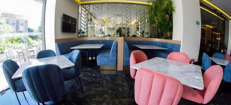 安特雷查普尔特佩克酒店(Hotel Antré Chapultepec)图片