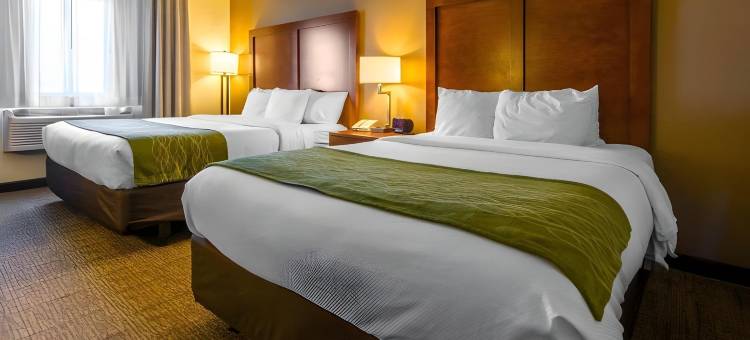 伊利舒适酒店(Comfort Inn & Suites)图片