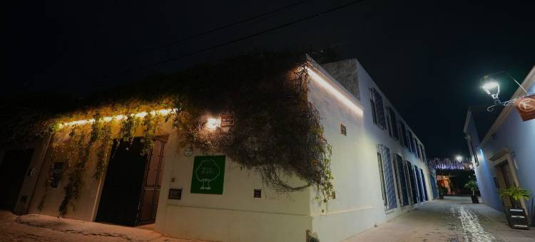 精品酒店 7 Casa Laurel(7 Casa Laurel Hotel Boutique)图片