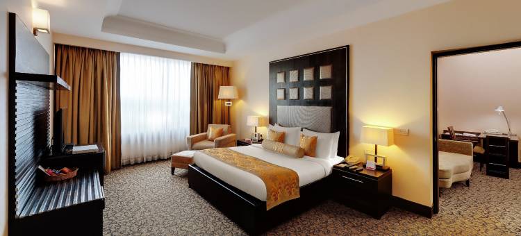 温德姆华美达广场酒店-JHV菠罗奈斯(Ramada Plaza by Wyndham JHV Varanasi)图片