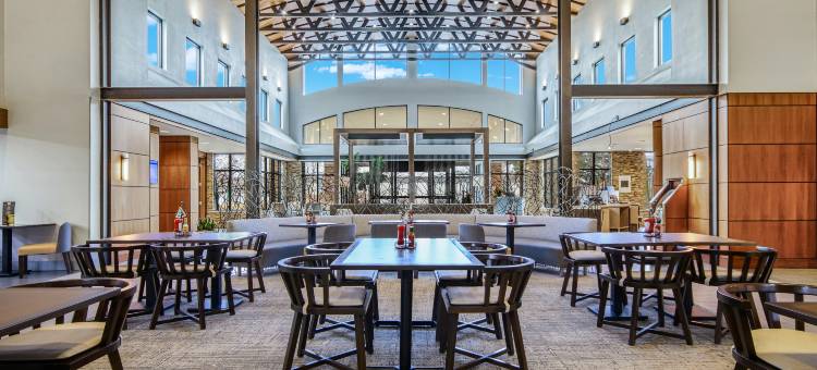 底特律都会机场希尔顿安泊酒店(Embassy Suites by Hilton Detroit Metro Airport)图片