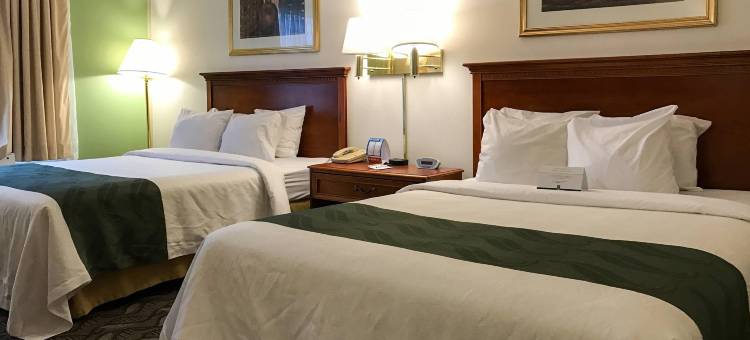 凯艺酒店(Quality Inn)图片