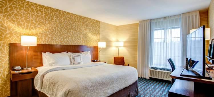 斯普林菲尔德霍利奥克万枫酒店及套房(Fairfield Inn & Suites Springfield Holyoke)图片