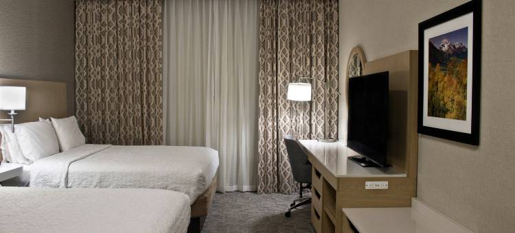 丹佛-斯佩尔大道欢朋套房酒店(Hampton Inn & Suites Denver-Speer Boulevard)图片