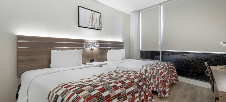 博蒙特红顶套房酒店(Red Roof Inn & Suites Beaumont)图片