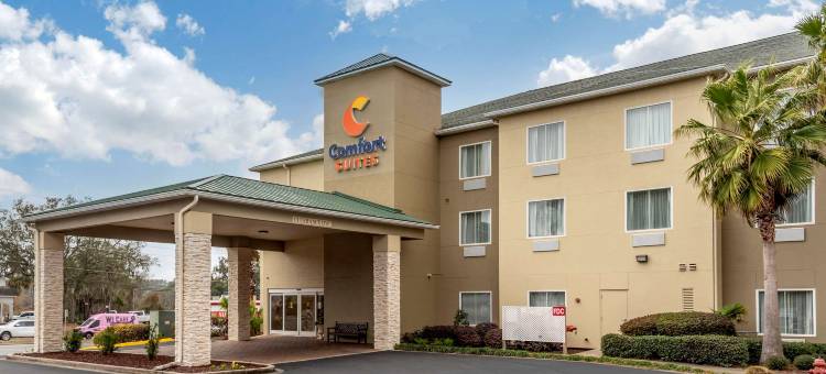 尼斯维尔埃格林空军基地附近舒适全套房酒店(Comfort Suites Niceville Near Eglin Air Force Base)图片