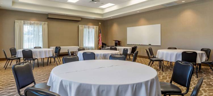 雅典舒适酒店(Comfort Inn Athens I - 75)图片