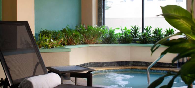 休斯顿希尔顿安泊套房酒店-近加勒里亚(Embassy Suites by Hilton Houston Near the Galleria)图片