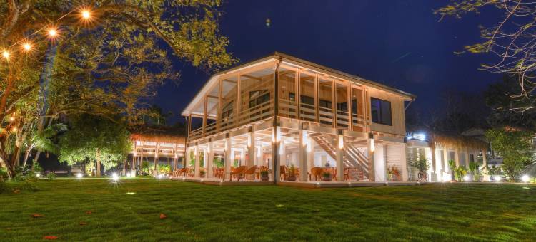 格莱迪伊瓜纳冲浪酒店(The Gilded Iguana)图片