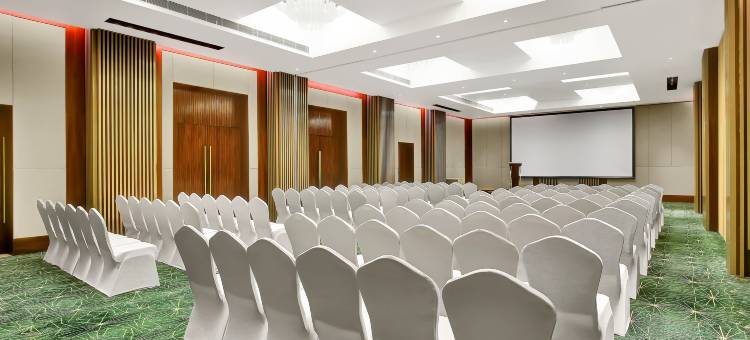 果阿坎多林假日酒店(Holiday Inn Goa Candolim)图片