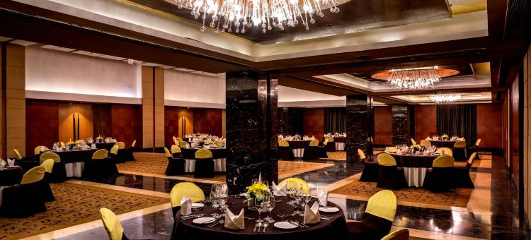 加尔各答公园酒店(The Park Kolkata)图片