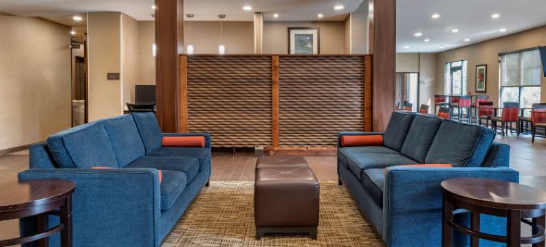 哥伦布机场舒适套房酒店(Comfort Suites Columbus Airport)图片