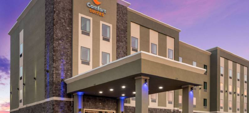 迪索托-达拉斯南舒适套房酒店(Comfort Suites DeSoto Dallas South)图片