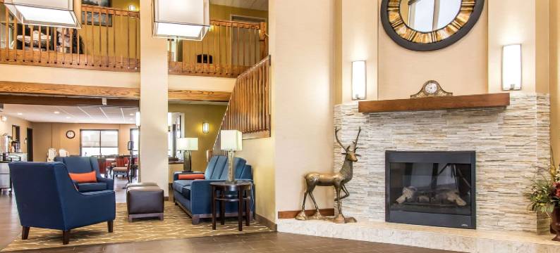 埃芬汉舒适套房酒店(Comfort Suites Effingham)图片