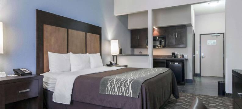 舒适套房酒店机场I-10(Comfort Inn & Suites I-10 Airport)图片