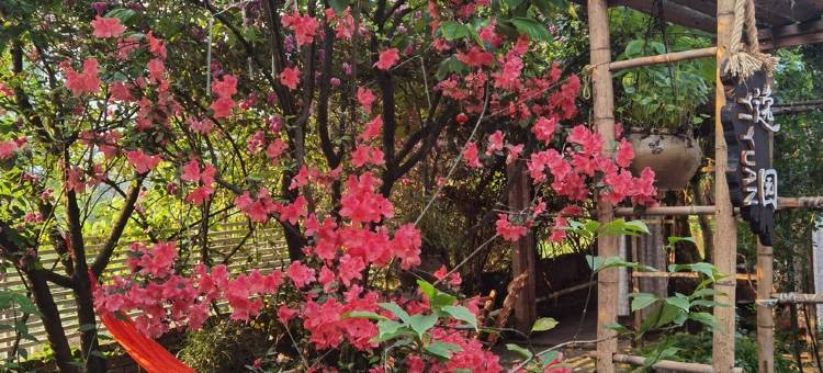 伴山院子度假别墅图片