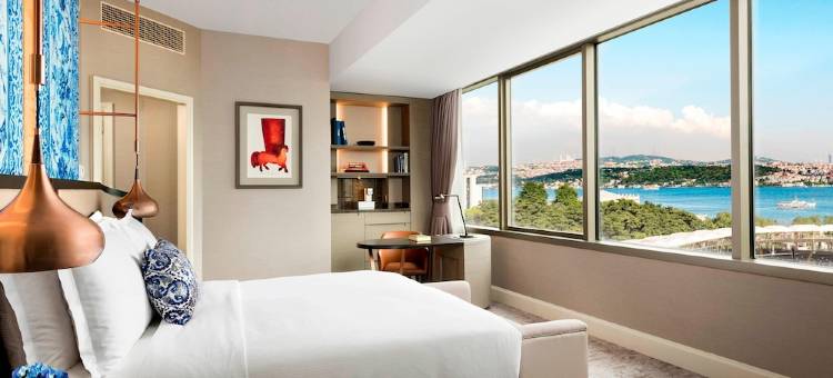 伊斯坦布尔丽思卡尔顿酒店(The Ritz-Carlton, Istanbul)图片