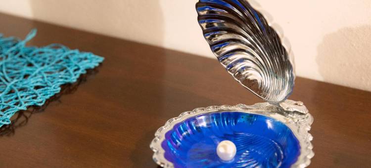 伐戴拉250公寓(Fardella 250)图片