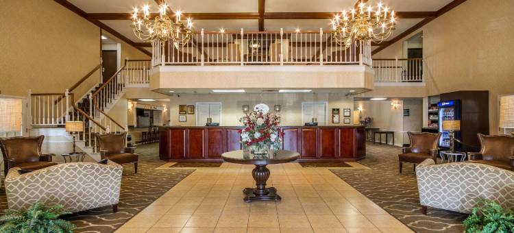 阿普尔顿机场舒适套房酒店(Comfort Suites Appleton Airport)图片