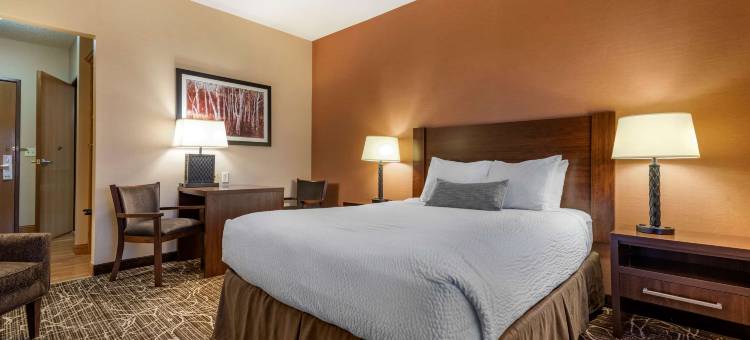 切尔西贝斯特韦斯特优质酒店(Best Western Plus Chelsea Hotel)图片