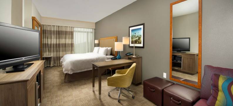 圣安东尼奥西北医疗中心欢朋套房酒店(Hampton Inn & Suites San Antonio Northwest/Medical Center)图片