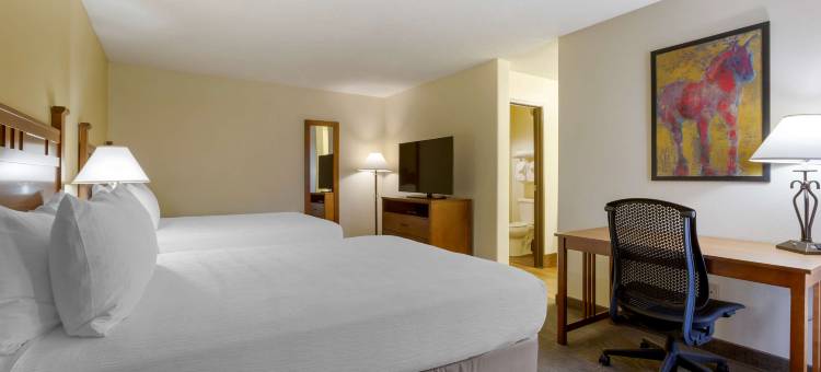 马驹彩屋贝斯特韦斯特酒店(Best Western Paint Pony Lodge)图片