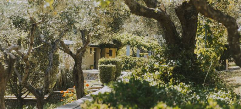 波尔特威拉萨旅馆(Porto Valitsa)图片