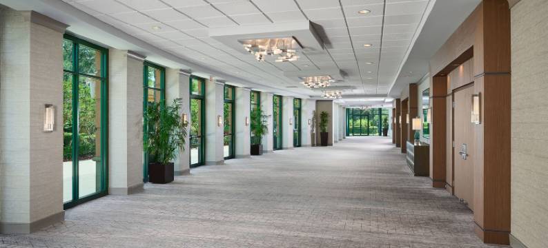 奥兰多万豪酒店玛丽湖(Orlando Marriott Lake Mary)图片