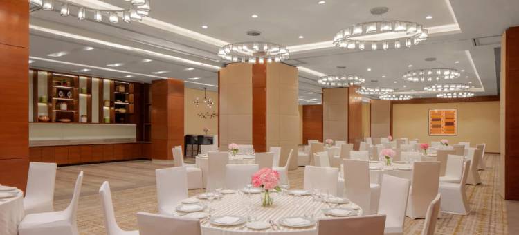 昌迪格凯悦酒店(Hyatt Regency Chandigarh)图片