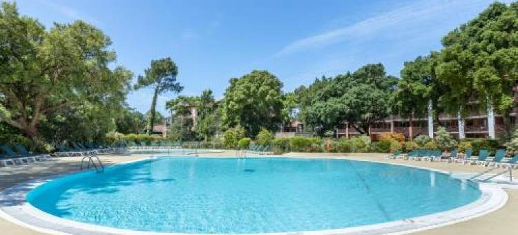 Palombes - Joli Appartement Piscine图片