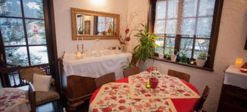 格辛尼克伊赫热巴西亚尼亚波德斯奥塔利斯瓦宾馆(Gościniec I Herbaciarnia Pod Złotą Łyżwą)图片