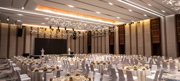 永安市中心皇冠假日酒店(Crowne Plaza Vinh Yen City Centre)图片