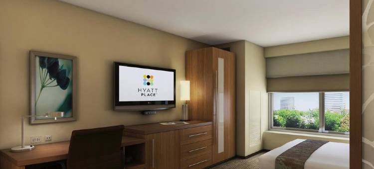 底特律/诺维凯悦嘉轩酒店(Hyatt Place Detroit/Novi)图片