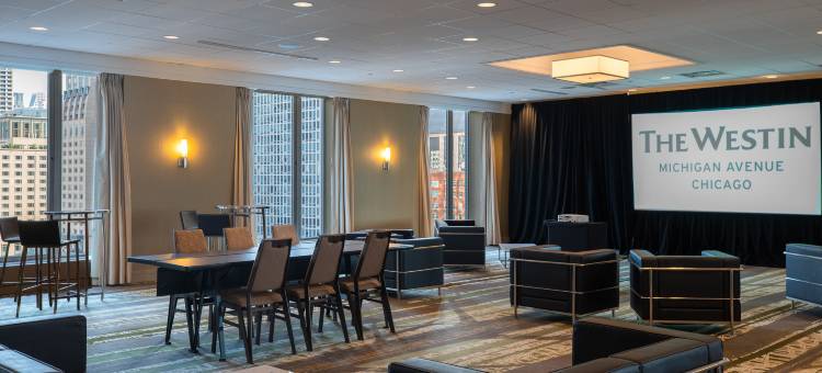 芝加哥密歇根大道威斯汀酒店(The Westin Michigan Avenue Chicago)图片