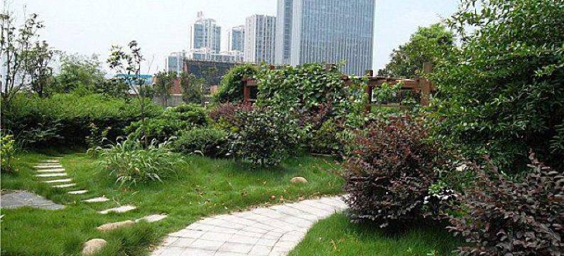 长沙自由美佳自助公寓图片