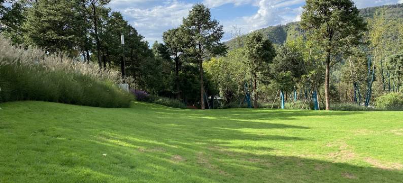 汉华天马山温泉度假区度假别墅(大营街分店)图片