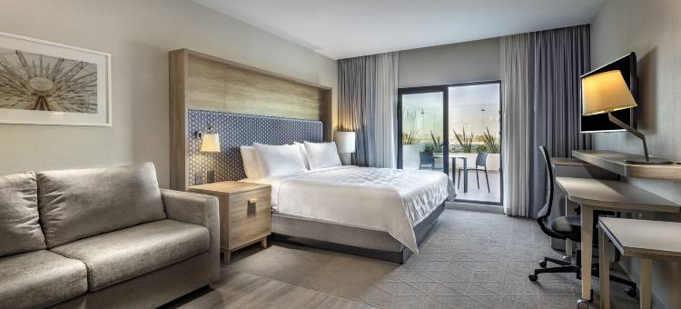 阿瓜斯卡连特斯假日酒店及套房(Holiday Inn & Suites AGUASCALIENTES by IHG)图片