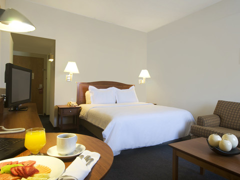 托卢卡中心嘉年华酒店