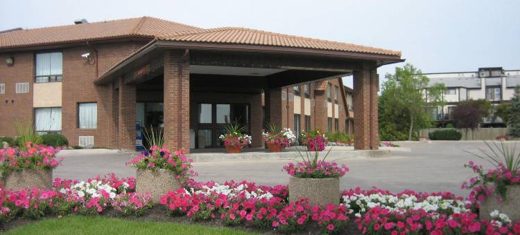 南方舒适酒店(Comfort Inn South)图片